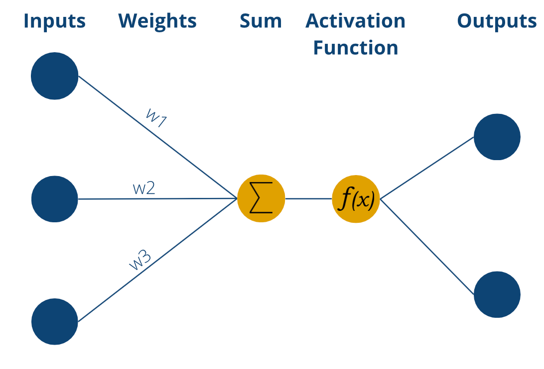 Structure of a Perceptron | Source: Author