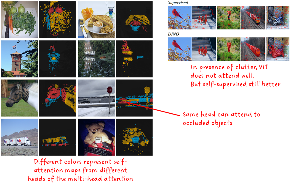 Fig. 4: Attention maps from selected heads. Source + annotations by Sascha Kirch