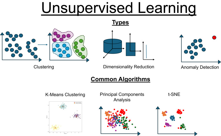 Nongenerative Artificial Intelligence in Medicine: Advancements and Applications in Supervised and Unsupervised Machine Learning - ScienceDirect